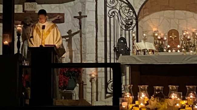 Fr. John Mary Homily - Christmas