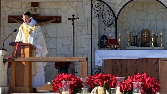 Fr. John Mary Homily - Christmastide