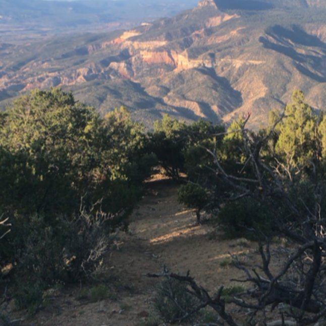 Mountain & Brush Landscape