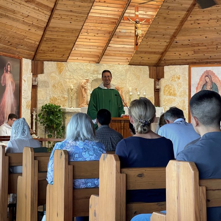 Fr. John Mary's Homily - Ordinary Time
