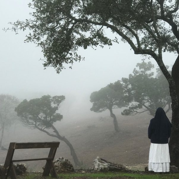 Sr. Amapola Looking Out Into The Fog