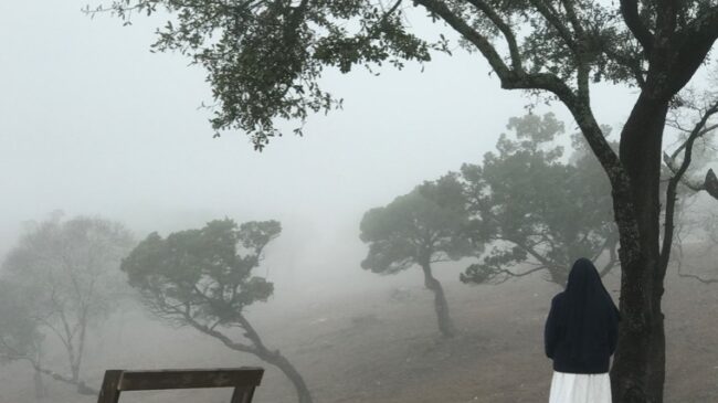 Sr. Amapola Looking Out Into The Fog