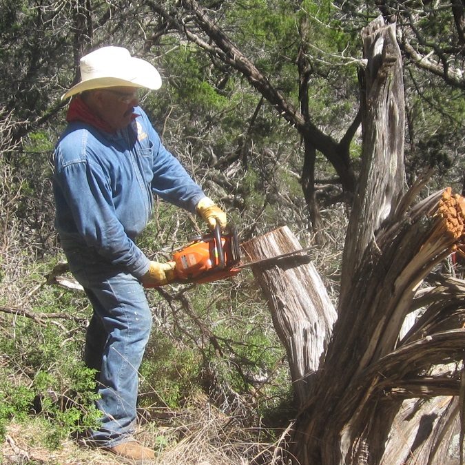 Clearing the Property - Raul