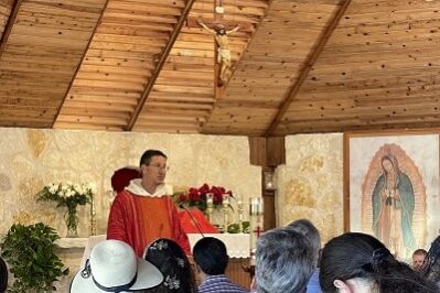 Mission of Divine Mercy - Fr. John Mary Pentecost Homily